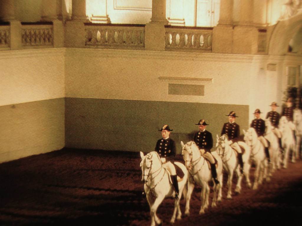 The Spanish Riding School - Vienna, Austria